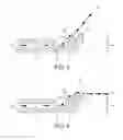 Fig. 04 - AIR BLOWING DEVICE
