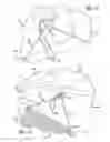 Fig. 10 - Automobile body protector