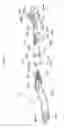 Fig. 14 - Vehicle wiper