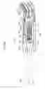 Fig. 24 - Vehicle wiper