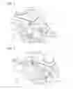 Fig. 02 - Brake apparatus and brake system