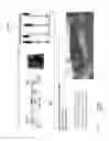 Fig. 06 - Real time machine vision system for train control and protection