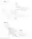 Fig. 02 - Vehicle chassis structure