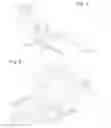 Fig. 03 - Vehicle chassis structure