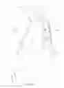 Fig. 12 - CARTON, CARTON BLANK AND HANDLE STRUCTURE THEREFOR