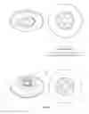 Fig. 10 - System For Preventing The Tampering And Re-Packaging Of Containers Made From Glass, Plastic Or Other Materials