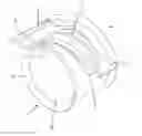 Fig. 01 - Hose clamp