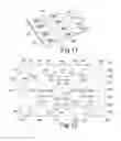 Fig. 05 - A FLEXIBLE BEVERAGE SUPPORT SHEET & PACKAGE