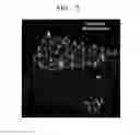 Fig. 05 - GRAPHENE STRUCTURE HAVING NANOBUBBLES AND METHOD OF FABRICATING THE SAME