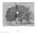Fig. 05 - SALT/CLAY MIXTURES AND USES THEREOF
