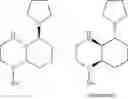 Fig. 519 - PERHYDROQUINOXALINE DERIVATIVES