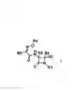Fig. 02 - USEFUL COMBINATIONS OF MONOBACTAM ANTIBIOTICS WITH BETA-LACTAMASE INHIBITORS