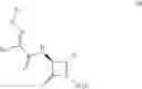 Fig. 05 - USEFUL COMBINATIONS OF MONOBACTAM ANTIBIOTICS WITH BETA-LACTAMASE INHIBITORS
