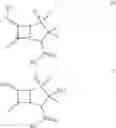 Fig. 07 - USEFUL COMBINATIONS OF MONOBACTAM ANTIBIOTICS WITH BETA-LACTAMASE INHIBITORS
