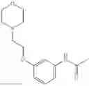 Fig. 201 - USEFUL COMBINATIONS OF MONOBACTAM ANTIBIOTICS WITH BETA-LACTAMASE INHIBITORS