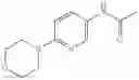 Fig. 203 - USEFUL COMBINATIONS OF MONOBACTAM ANTIBIOTICS WITH BETA-LACTAMASE INHIBITORS