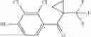 Fig. 177 - Amide substituted thiazoles as modulators of RORyt