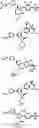 Fig. 62 - Amide substituted thiazoles as modulators of RORyt