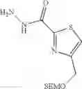 Fig. 86 - Amide substituted thiazoles as modulators of RORyt