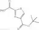 Fig. 101 - Trifluoromethyl alcohols as modulators of RORγt