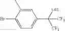 Fig. 73 - Trifluoromethyl alcohols as modulators of RORγt
