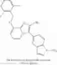 Fig. 155 - 3-aryl-substituted imidazo[1,2-A]pyridines and their use
