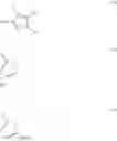 Fig. 270 - 3-aryl-substituted imidazo[1,2-A]pyridines and their use