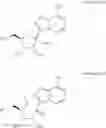 Fig. 05 - Methods for the preparation of ribosides