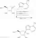 Fig. 103 - Methods for the preparation of ribosides