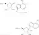 Fig. 105 - Methods for the preparation of ribosides