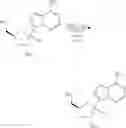 Fig. 130 - Methods for the preparation of ribosides