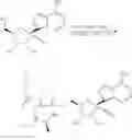 Fig. 141 - Methods for the preparation of ribosides