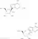 Fig. 147 - Methods for the preparation of ribosides
