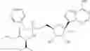 Fig. 160 - Methods for the preparation of ribosides