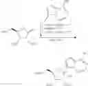 Fig. 205 - Methods for the preparation of ribosides