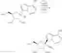 Fig. 206 - Methods for the preparation of ribosides