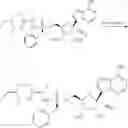 Fig. 210 - Methods for the preparation of ribosides