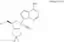 Fig. 66 - Methods for the preparation of ribosides