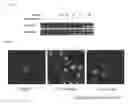 Fig. 02 - Pyrimido-diazepinone kinase scaffold compounds and methods of treating disorders