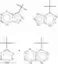 Fig. 09 - Trisubstituted bicyclic heterocyclic compounds with kinase activities and uses thereof