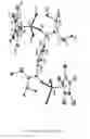 Fig. 03 - Bimetallic complex comprising cyclopentadienyl and amidine ligands