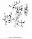 Fig. 05 - Bimetallic complex comprising cyclopentadienyl and amidine ligands