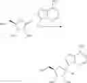 Fig. 134 - Methods for treating virus infections