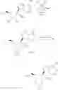 Fig. 141 - Methods for treating virus infections