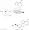 Fig. 147 - Methods for treating virus infections