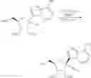 Fig. 148 - Methods for treating virus infections