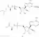 Fig. 153 - Methods for treating virus infections