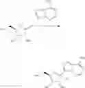Fig. 80 - Methods for treating virus infections