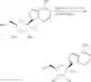 Fig. 85 - Methods for treating virus infections