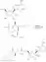 Fig. 88 - Methods for treating virus infections